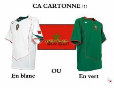 le quel tu préfére?